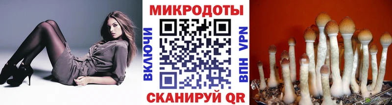 Псилоцибиновые грибы Psilocybine cubensis  omg сайт  мориарти телеграм  Алапаевск 